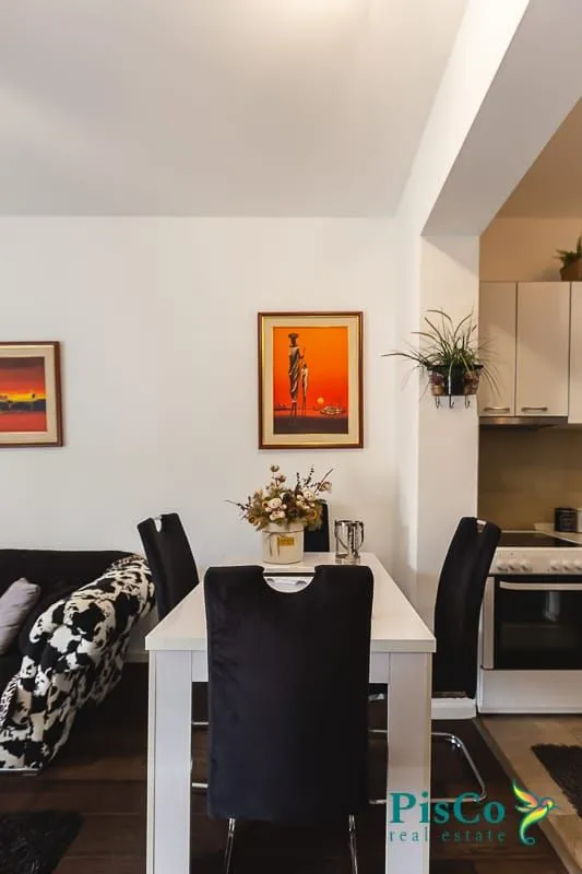 Izdavanje, jednosoban stan, 47m², Preko Morače, Podgorica