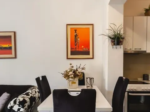 Izdavanje, jednosoban stan, 47m², Preko Morače, Podgorica - image 2