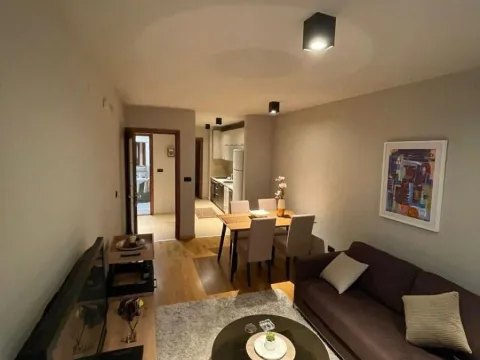 Izdavanje, jednosoban stan, 48m², Tološi, Podgorica - image 8