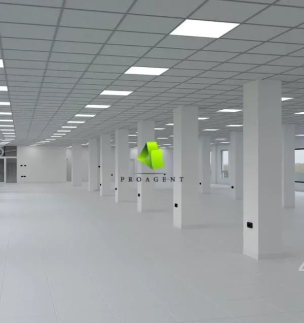 Izdavanje, poslovni prostor, 750m², Medijana, Niš