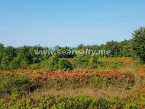 Prodaja, plac, 6400m², Krimovica, Kotor - image 4