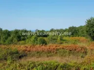 Sale, land lot, 6400m², Krimovica, Kotor - image 4