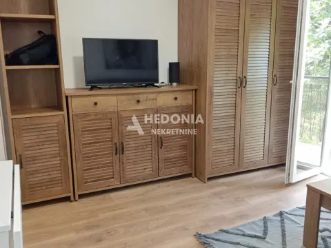 Izdavanje, stan, 25m², Čukarica, Beograd - image 2