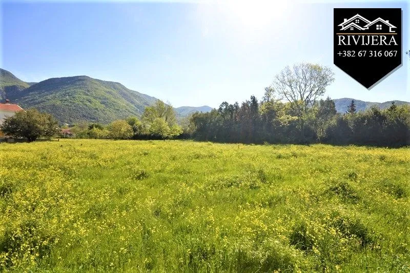 Prodaja, plac, 11000m², Zelenika, Herceg Novi