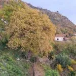 Prodaja, plac, 550m², Petrovac, Budva - image 4