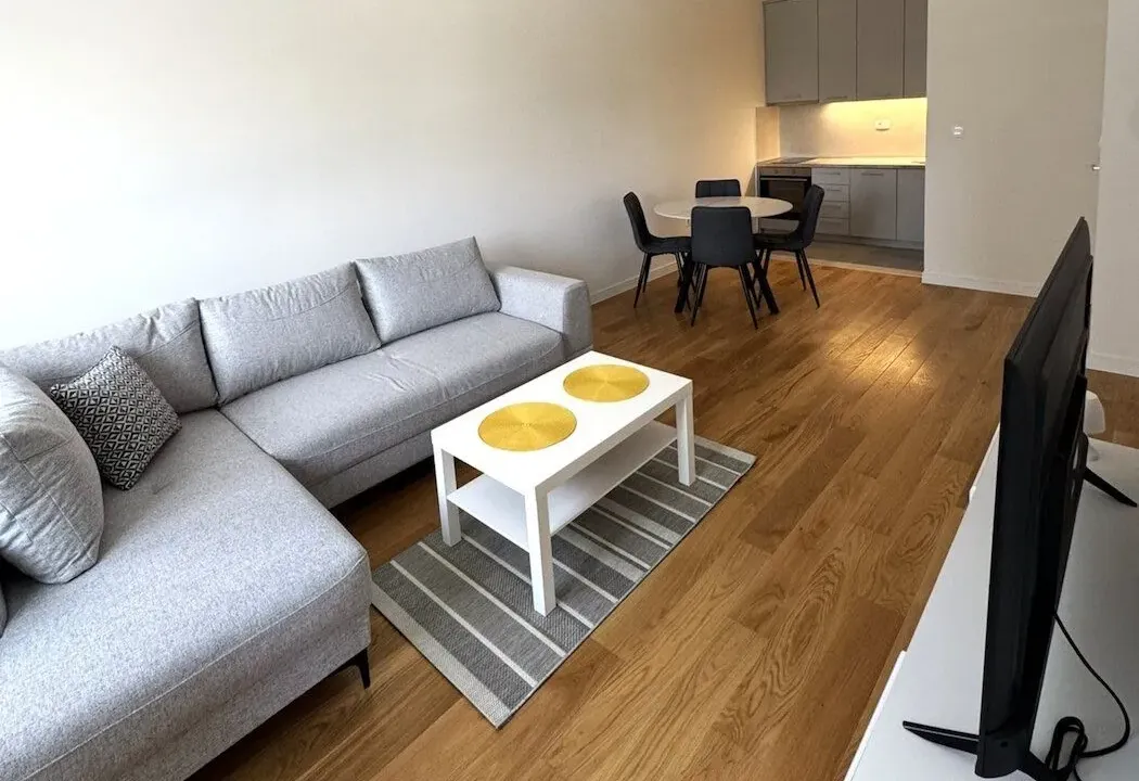 Rent, apartment, 49m², Central Point, Podgorica