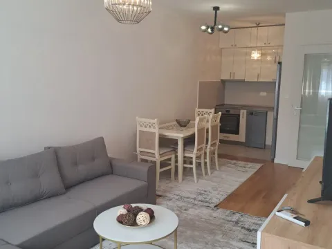 Rent, one bedroom apartment, 47m², New City, Podgorica - image 2