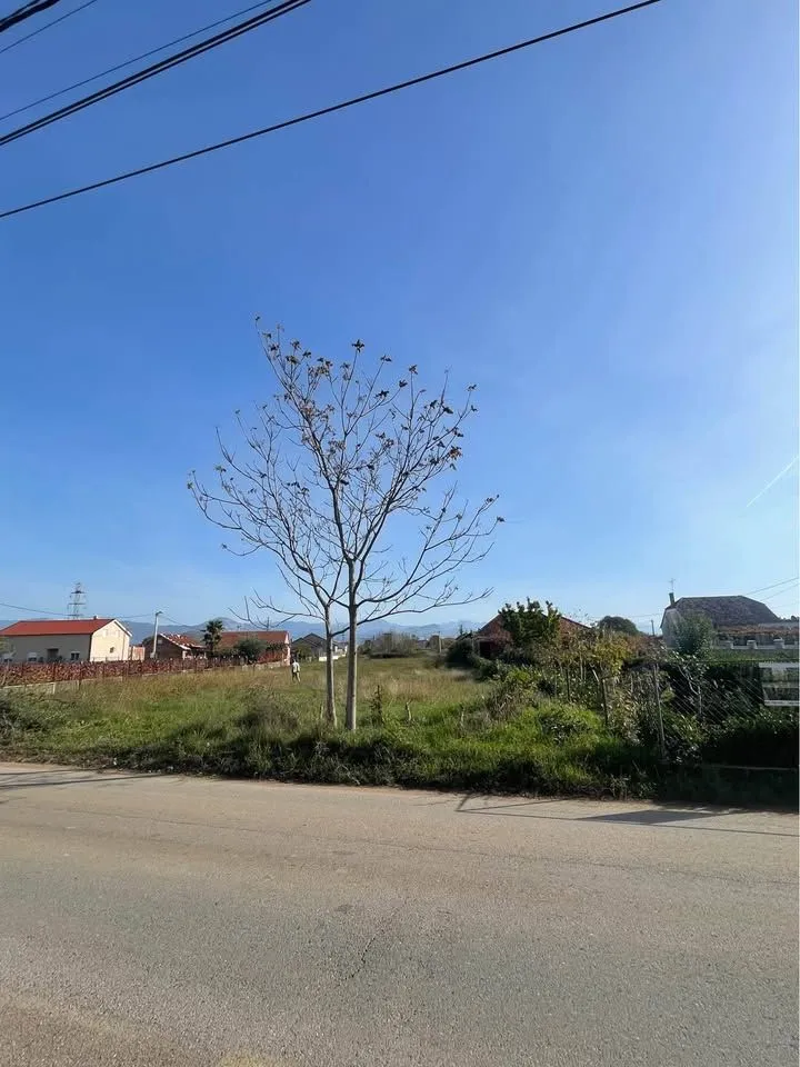 Pogled na plac sa putem i okolnim kućama.