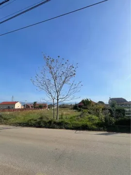 Pogled na plac sa putem i okolnim kućama. - image 2