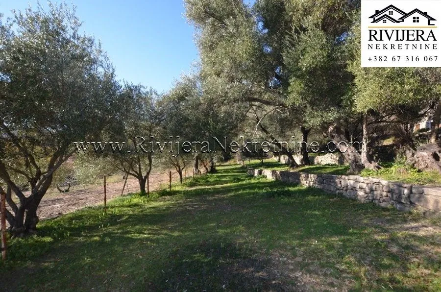 Prodaja, plac, 5345m², Zelenika, Herceg Novi