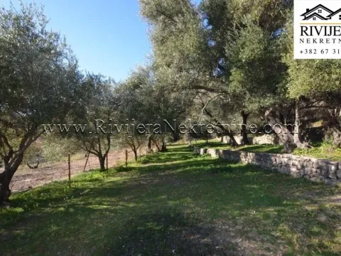 Prodaja, plac, 5345m², Zelenika, Herceg Novi - image 7