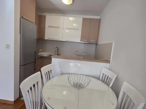 Rent, one bedroom apartment, 44m², Stari Aerodrom, Podgorica - image 10