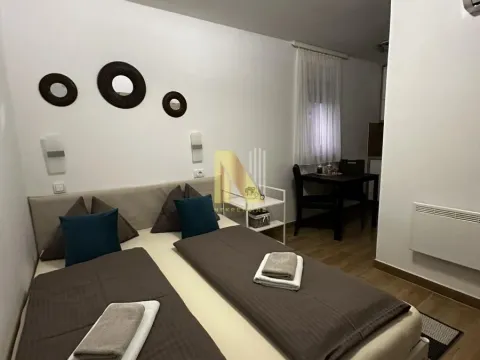 Sale, office space, 396m², Banja Vrdnik, Irig - image 12