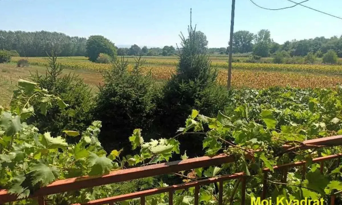 Prodaja, kuća, 260m², Srebrno jezero, Veliko Gradište