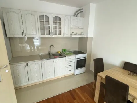 Izdavanje, jednosoban stan, 43m², Zabjelo, Podgorica - image 7