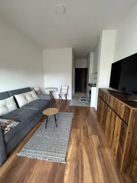 Dnevna soba sa garniturom, televizorom i pogledom na hodnik i kuhinju. - image 8