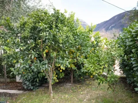 Izdavanje, kuća, 111m², Lastva Grbaljska, Kotor - image 4