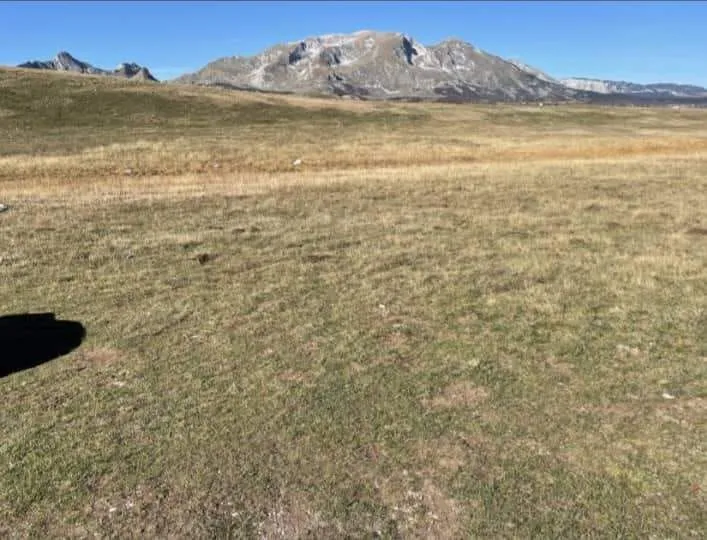 Prodaja, plac, 100000m², Žabljak, Crna Gora