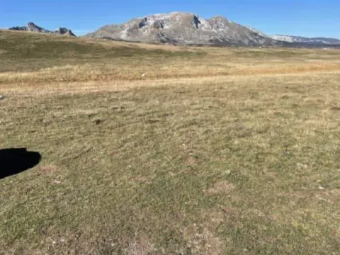 Prodaja, plac, 100000m², Žabljak, Crna Gora - image 4