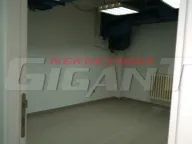 Izdavanje, poslovni prostor, 171m², Topličin venac, Beograd - image 4