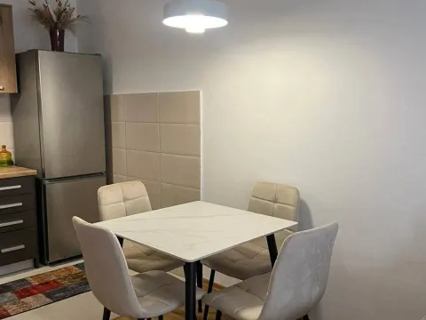 Rent, one bedroom apartment, 45m², Stari Aerodrom, Podgorica - image 5