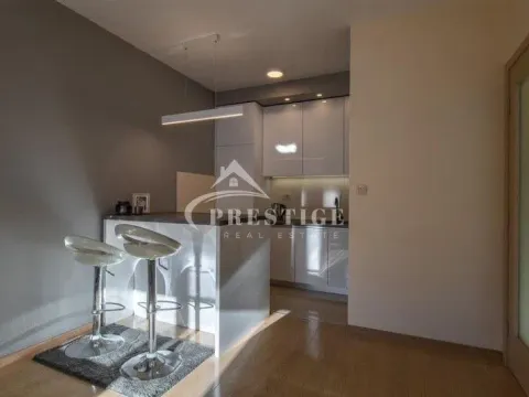 Izdavanje, jednosoban stan, 47m², City Kvart, Podgorica - image 4