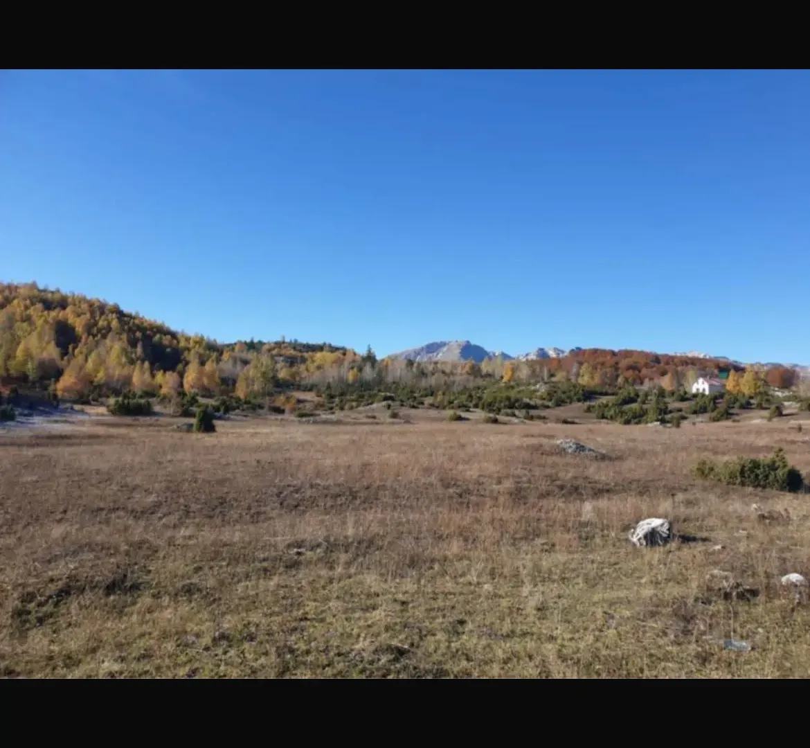 Prodaja, plac, 45556m², Borje, Žabljak - Ansicht 5