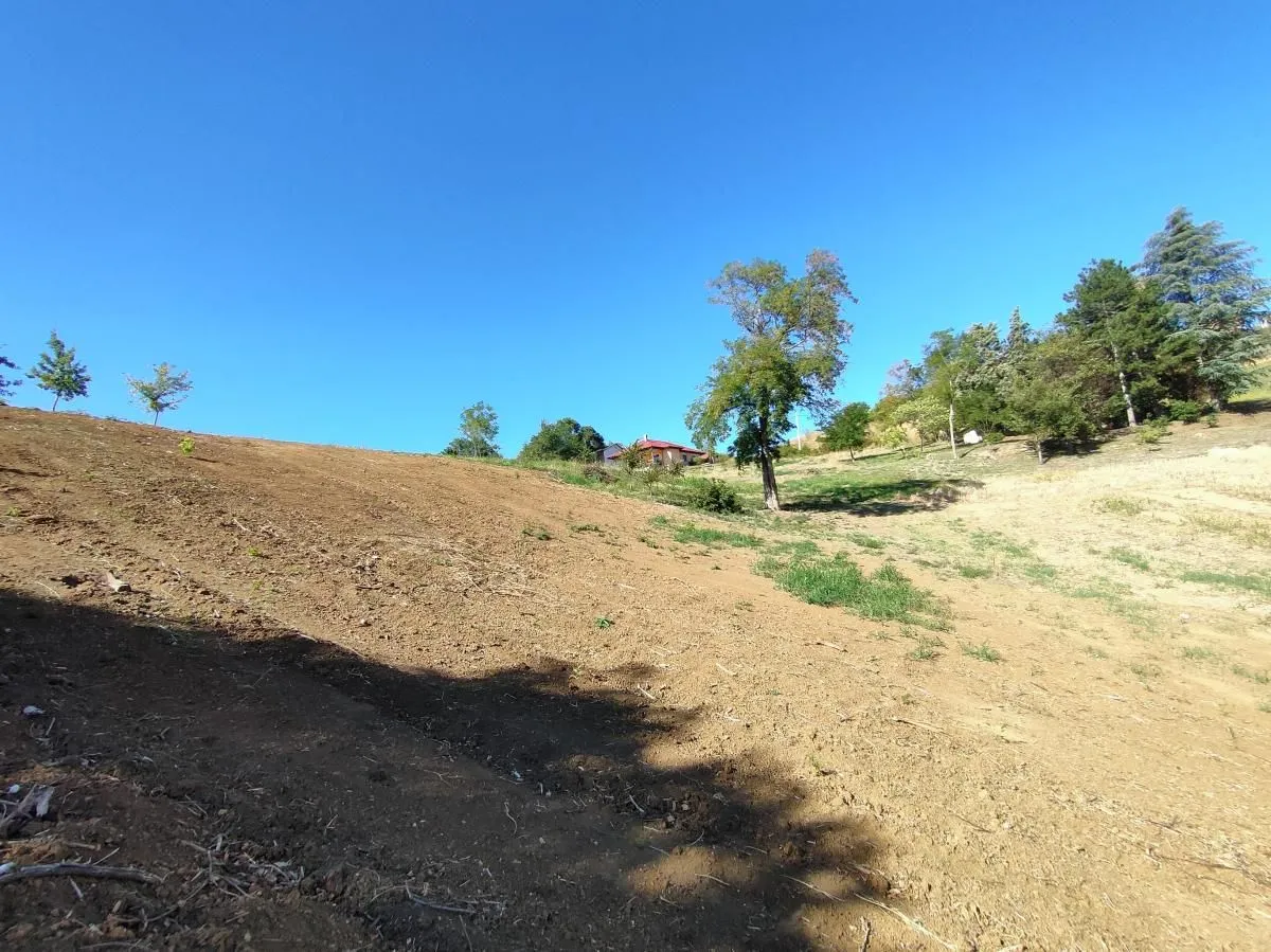 Prodaja, plac, 700m², Sremska Kamenica, Petrovaradin