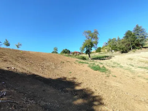 Prodaja, plac, 700m², Sremska Kamenica, Petrovaradin - image 7