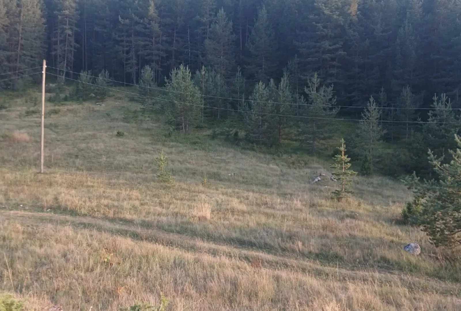 Prodaja, plac, 1280m², Borje, Žabljak