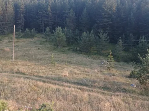 Prodaja, plac, 1280m², Borje, Žabljak - image 3