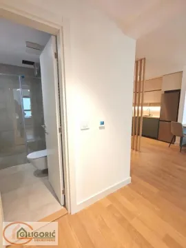 Izdavanje, dvosoban stan, 54m², Lion, Zvezdara Sve Podlokacije - image 13