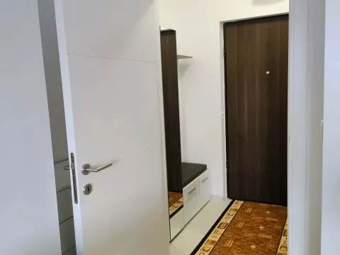 Rent, one bedroom apartment, 29m², Rastovac, Nikšić - image 6