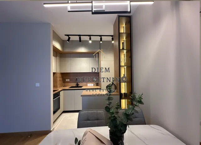 Rent, one bedroom apartment, 46m², Centar, Podgorica