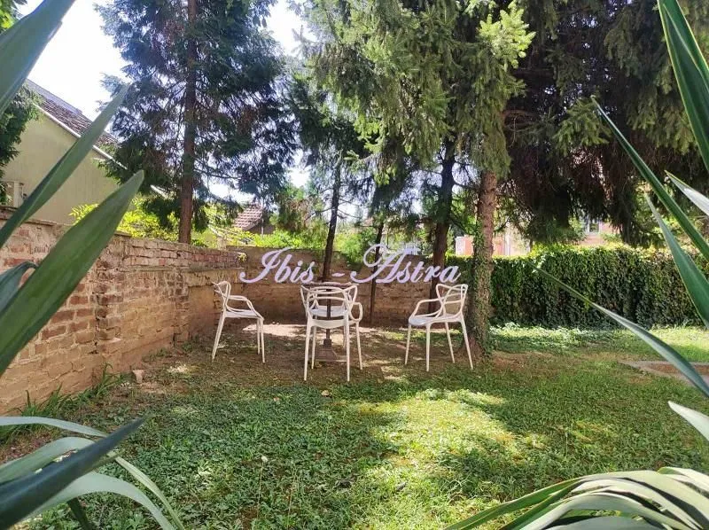 Green yard with outdoor seating furniture and trees.