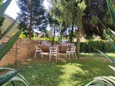 Green yard with outdoor seating furniture and trees. - image 10