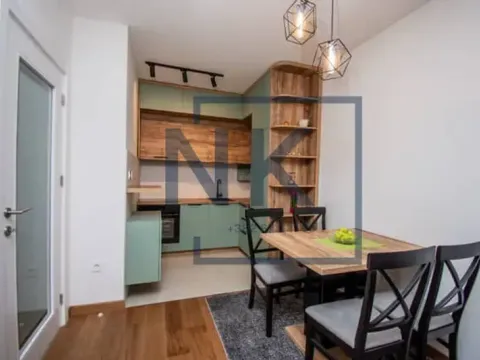 Izdavanje, jednosoban stan, 50m², Tološi, Podgorica - image 10