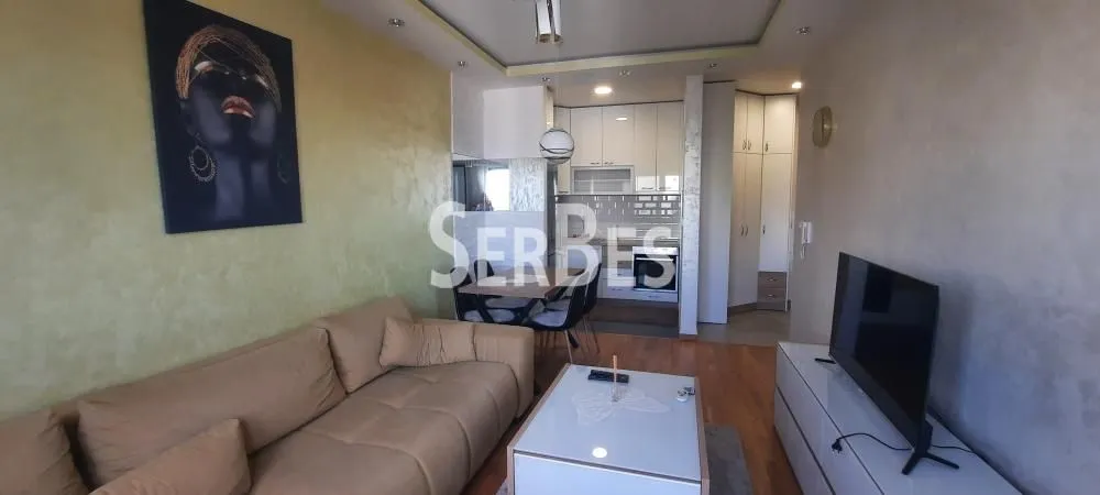 Izdavanje, jednosoban stan, 42m², Adamovićevo Naselje, Novi Sad Sve Podlokacije
