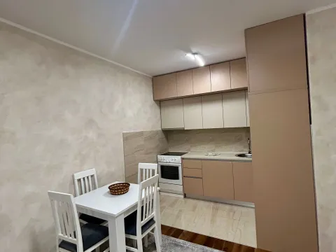 Izdavanje, jednosoban stan, 47m², Zabjelo, Podgorica - image 2