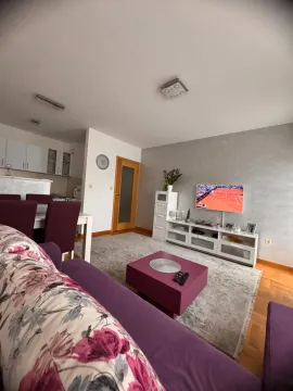 Rent, one bedroom apartment, 59m², Central Point, Podgorica - image 1064