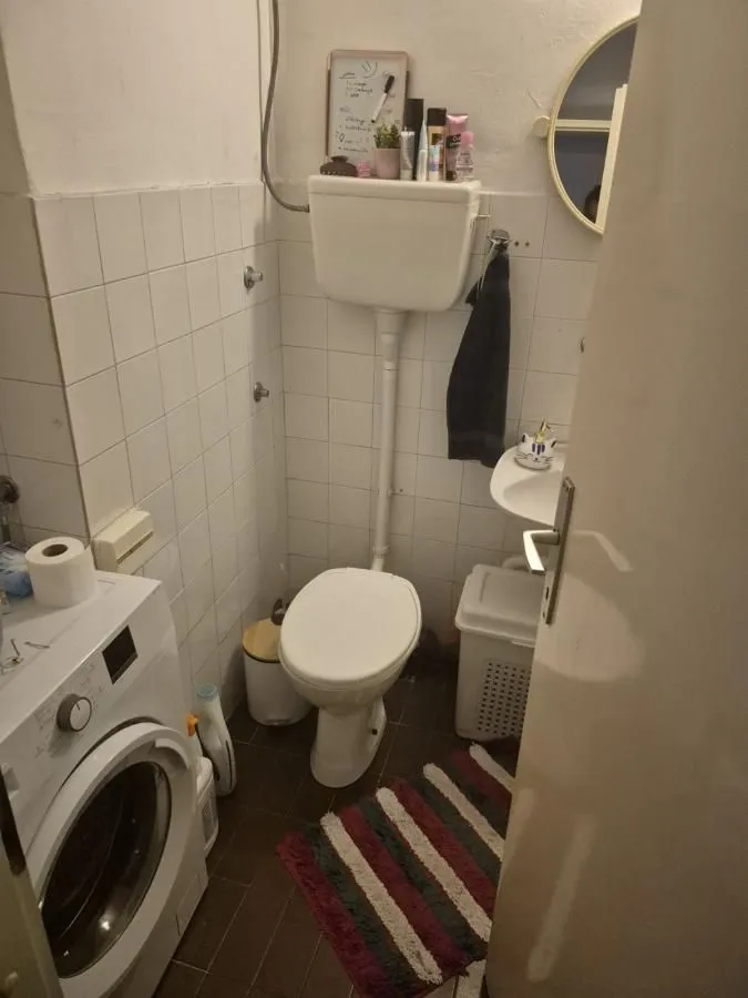 Manje kupatilo sa toaletom, umivaonikom i veš mašinom.