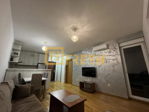 Izdavanje, jednosoban stan, 46m², Stari Aerodrom, Podgorica - image 2