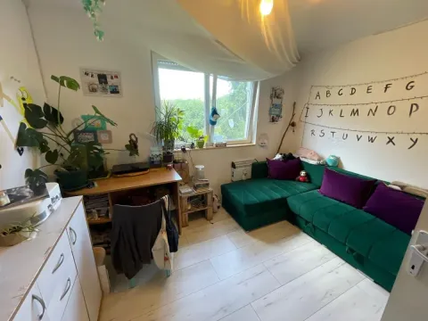 Sale, house, 55m², Sremska Kamenica, Petrovaradin - image 9