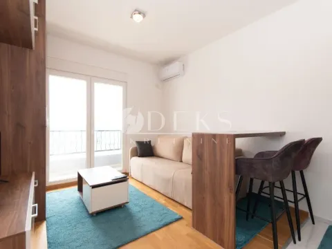 Izdavanje, garsonjera, 27m², Stari Aerodrom, Podgorica - image 14