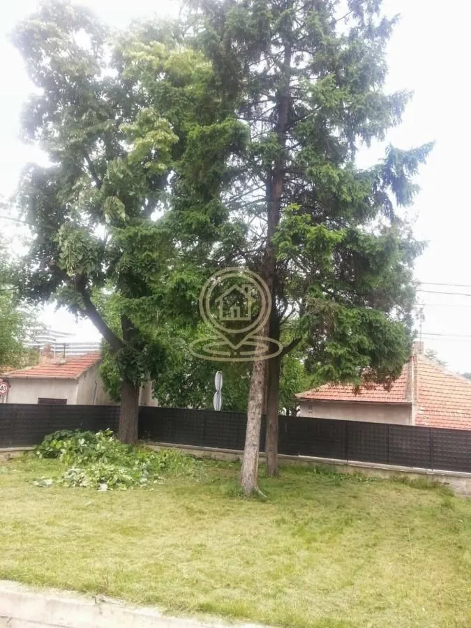 Dvorište sa visokim drvećem i ogradom.
