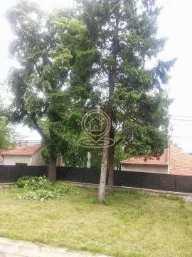 Dvorište sa visokim drvećem i ogradom. - image 3