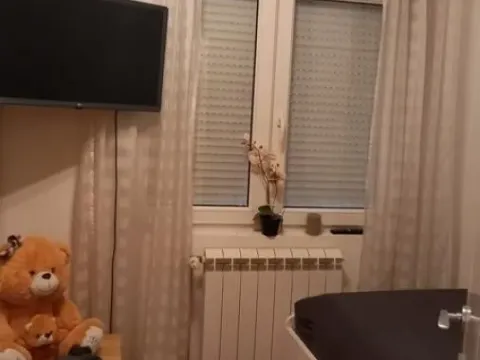 Izdavanje, kuća, 156m², Zvezdarska Šuma, Zvezdara Sve Podlokacije - image 6