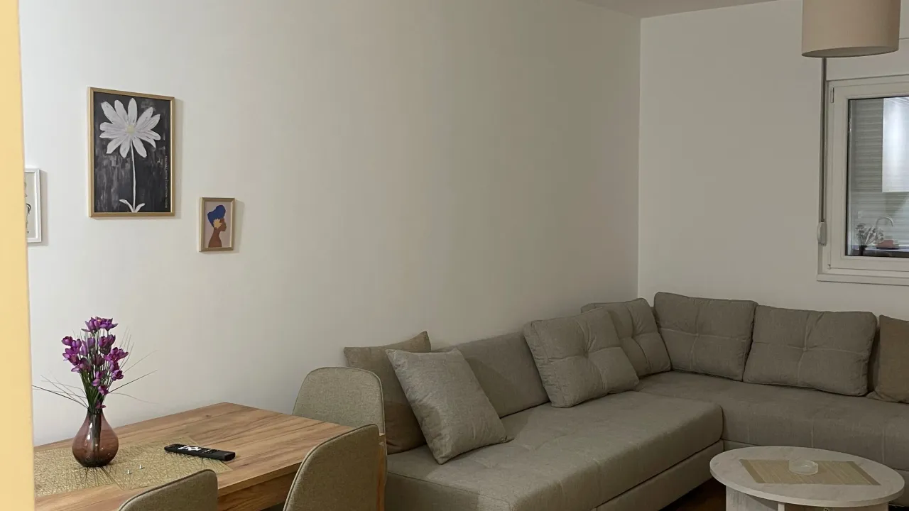 Rent, one bedroom apartment, 47m², Stari Aerodrom, Podgorica