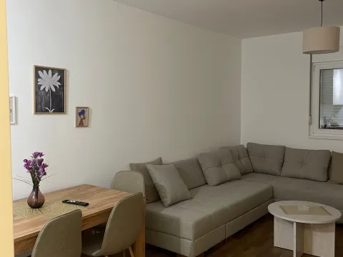 Izdavanje, jednosoban stan, 47m², Stari Aerodrom, Podgorica - image 1