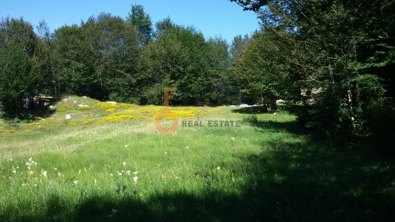 Prodaja, plac, 100000m², Cetinje, Crna Gora